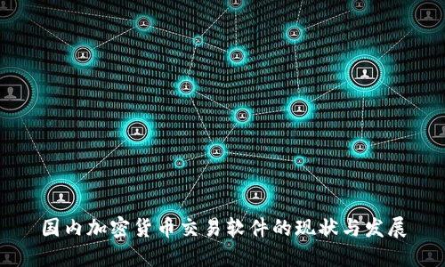 国内加密货币交易软件的现状与发展