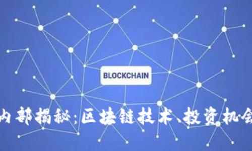 加密货币圈内部揭秘：区块链技术、投资机会与风险管理