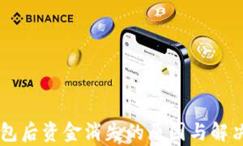 
转到TP钱包后资金消失的原因与解决方案分析
