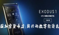 美国加密货币店：新兴的