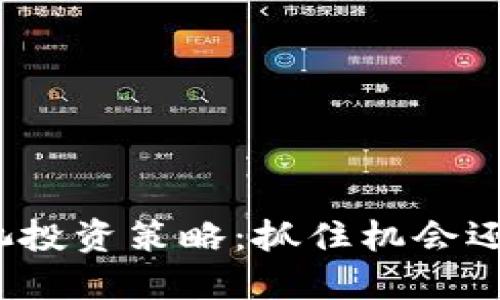TP钱包资金池投资策略：抓住机会还是持久发展？