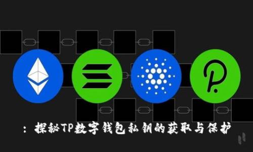 : 探秘TP数字钱包私钥的获取与保护