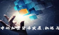 熊市中的加密货币发展：