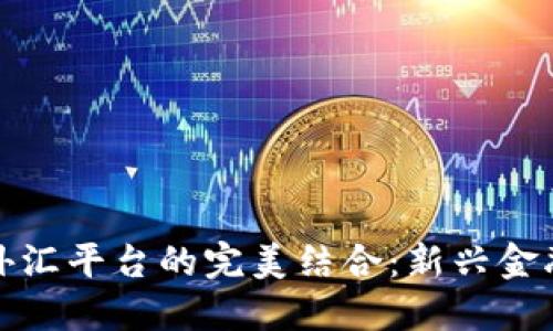 加密货币与外汇平台的完美结合：新兴金融市场的未来