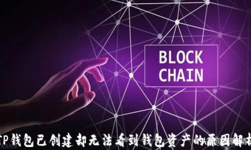 
TP钱包已创建却无法看到钱包资产的原因解析
