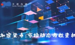 刚发行加密货币：市场动