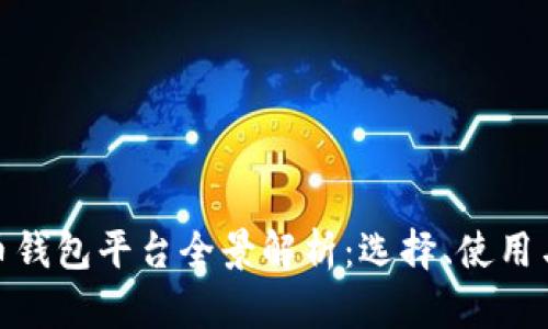 加密货币钱包平台全景解析：选择、使用与安全性
