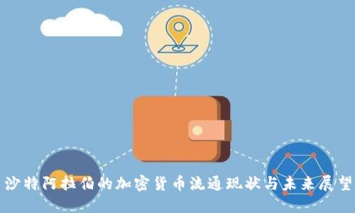 沙特阿拉伯的加密货币流通现状与未来展望