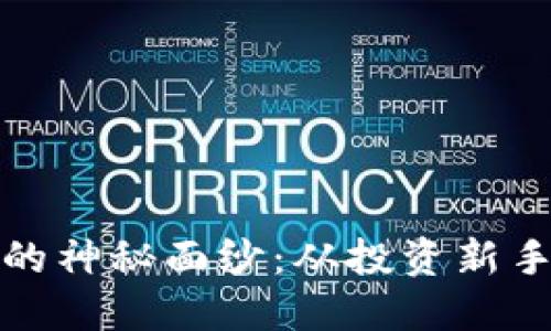 揭开加密数字虚拟货币的神秘面纱：从投资新手到金融先锋的转变之路