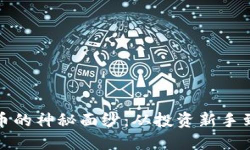 揭开加密数字虚拟货币的神秘面纱：从投资新手到金融先锋的转变之路