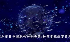 揭开美国加密货币借款的