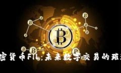探索加密货币FlL：未来数