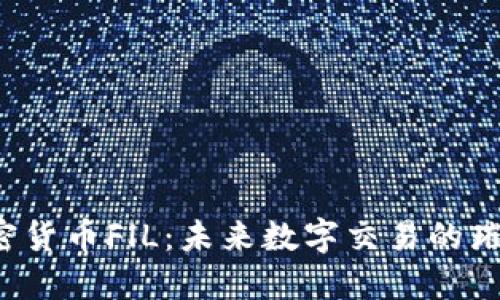 探索加密货币FlL：未来数字交易的璀璨之星！