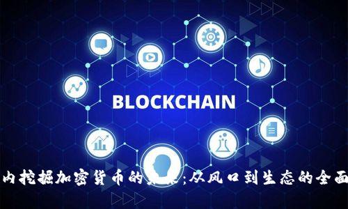 在国内挖掘加密货币的未来：从风口到生态的全面分析