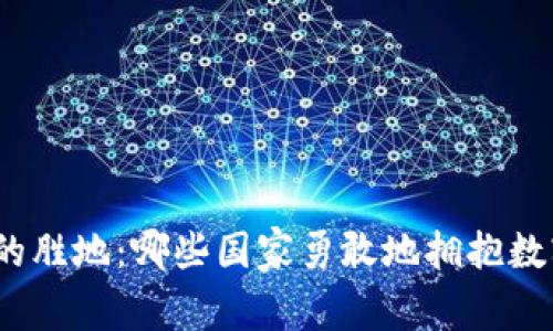 探索加密货币的胜地：哪些国家勇敢地拥抱数字货币的未来？