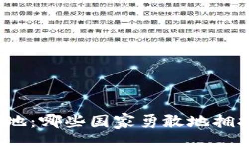 探索加密货币的胜地：哪些国家勇敢地拥抱数字货币的未来？