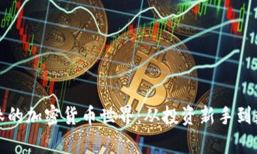 探索Wayne林的加密货币世界：从投资新手到数字财富达人