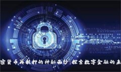揭开加密货币再抵押的神秘面纱：探索数字金融