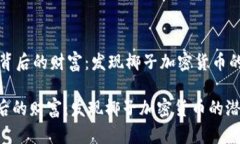 - 椰子背后的财富：发现椰子加密货币的潜力 -椰