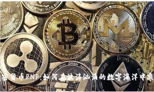了解加密货币PNP：如何在波涛汹涌的数字海洋中乘风破浪