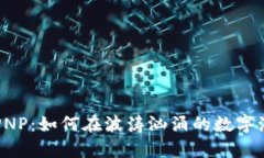 了解加密货币PNP：如何在