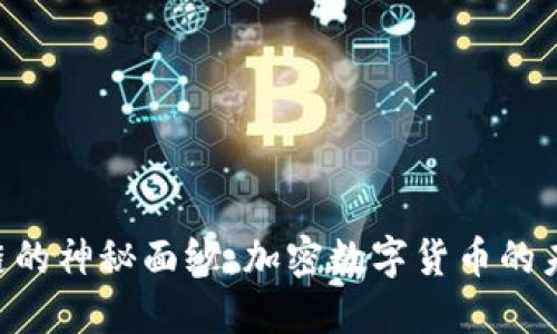 揭开M链的神秘面纱：加密数字货币的未来之路