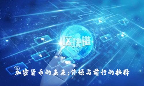 加密货币的未来：停顿与前行的抉择