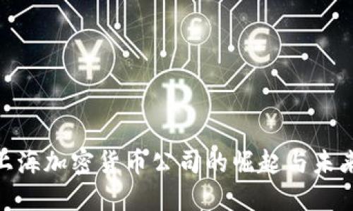 探索上海加密货币公司的崛起与未来机遇