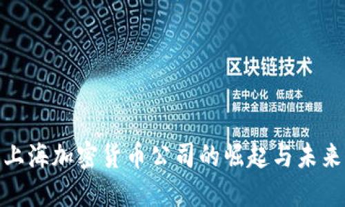 探索上海加密货币公司的崛起与未来机遇