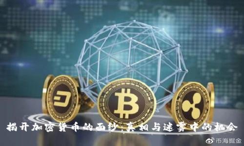 揭开加密货币的面纱：真相与迷雾中的机会