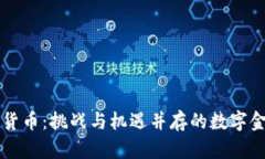 非洲加密货币：挑战与机