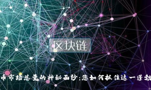 揭开加密货币市场总量的神秘面纱：您如何抓住这一蓬勃发展的机会