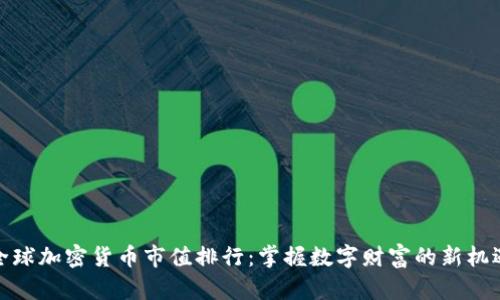 全球加密货币市值排行：掌握数字财富的新机遇