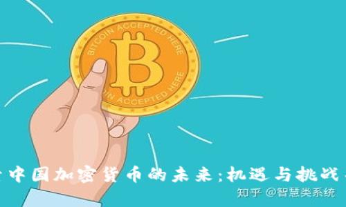 探索中国加密货币的未来：机遇与挑战并存