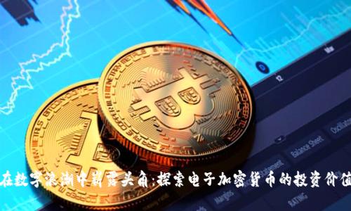 在数字浪潮中崭露头角：探索电子加密货币的投资价值