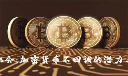 抓住机会：加密货币不回调的潜力与策略
