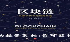 揭开加密货币的投资真相