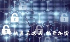 数字货币浪潮中的真正龙