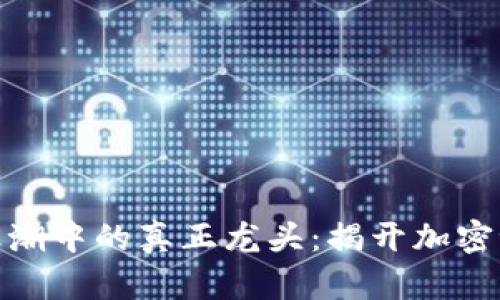 数字货币浪潮中的真正龙头：揭开加密世界的面纱