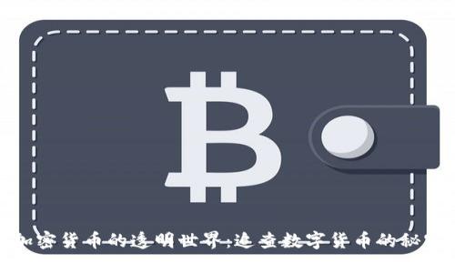 探索加密货币的透明世界：追查数字货币的秘密之旅