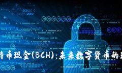 探索比特币现金(BCH)：未来