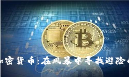 掌握加密货币：在风暴中寻找避险的灯塔
