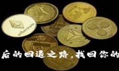 探索TP钱包升级后的回退之
