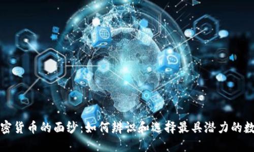 揭开加密货币的面纱：如何辨识和选择最具潜力的数字资产