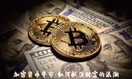 
加密货币牛市：如何抓住财富的浪潮