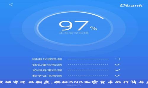 在波动中逆风翻盘：揭秘BNB加密货币的行情与未来