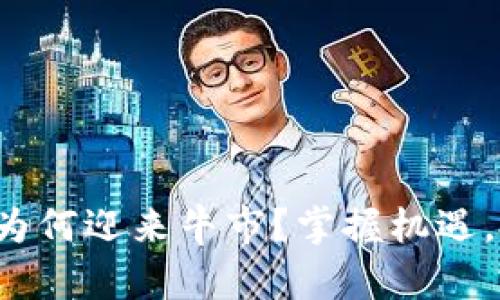 加密货币为何迎来牛市？掌握机遇，投资未来！