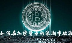 老人如何在加密货币的浪