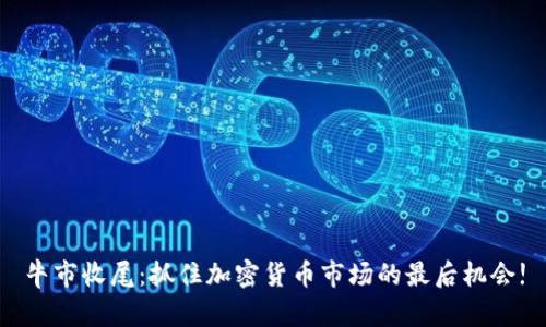 牛市收尾：抓住加密货币市场的最后机会!
