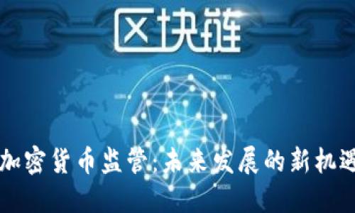 美国对加密货币监管：未来发展的新机遇与挑战